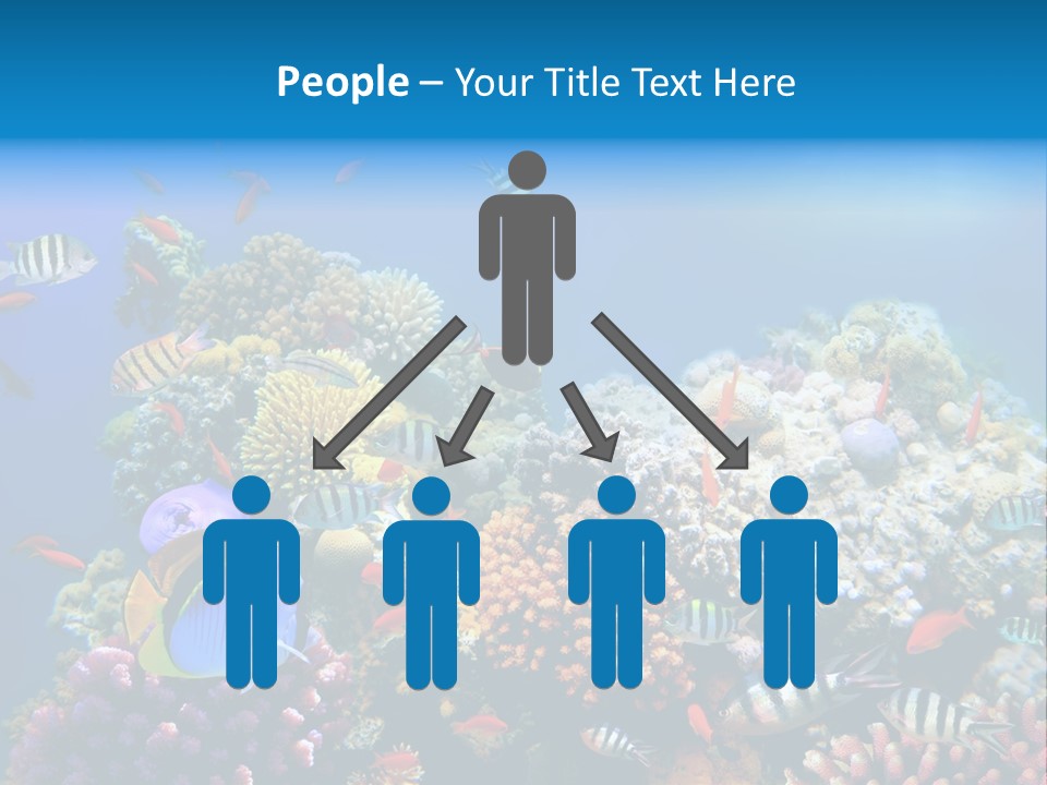 Deep Colorful Coral PowerPoint Template