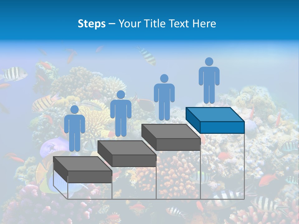 Deep Colorful Coral PowerPoint Template