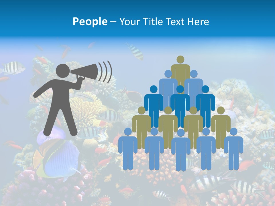 Deep Colorful Coral PowerPoint Template