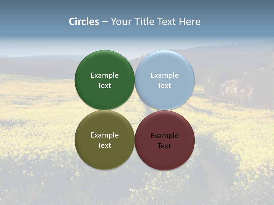 Europe Surrey Canola PowerPoint Template