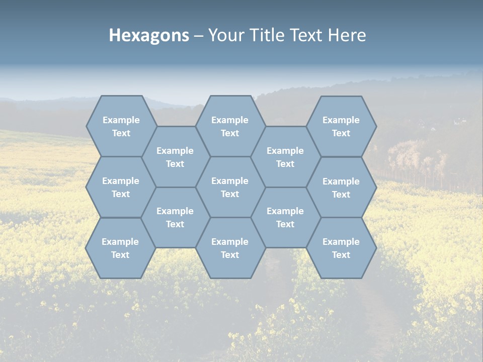 Europe Surrey Canola PowerPoint Template