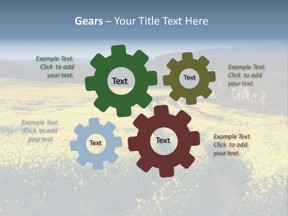 Europe Surrey Canola PowerPoint Template