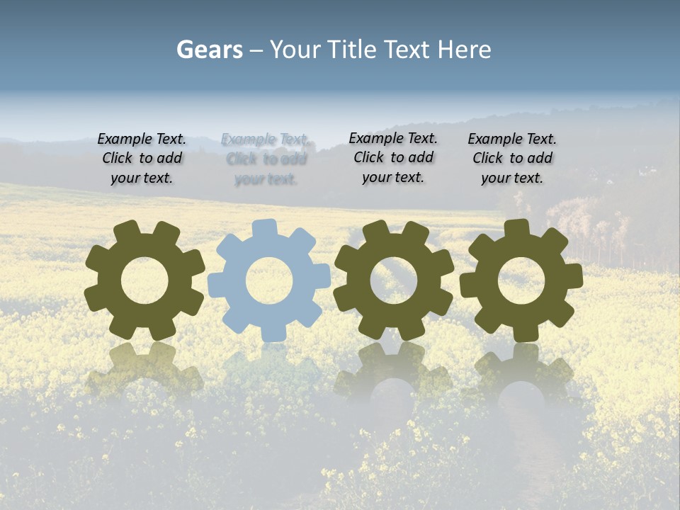 Europe Surrey Canola PowerPoint Template