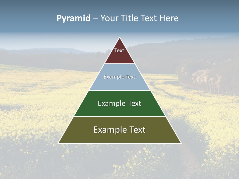 Europe Surrey Canola PowerPoint Template