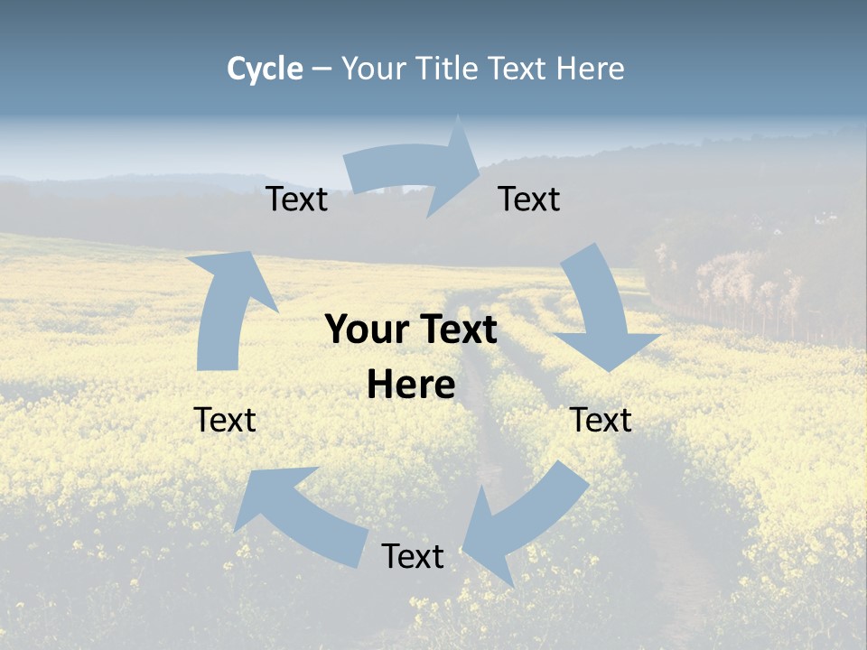 Europe Surrey Canola PowerPoint Template