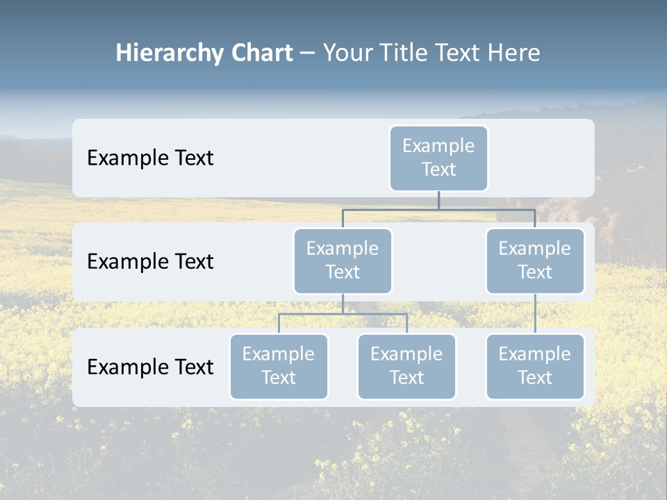 Europe Surrey Canola PowerPoint Template