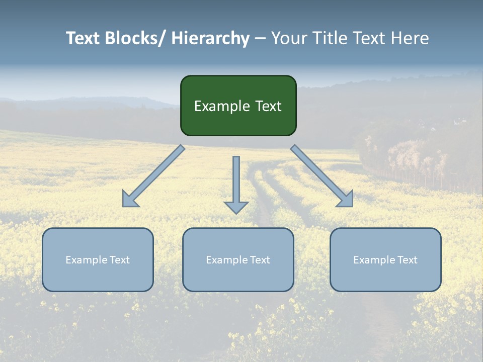 Europe Surrey Canola PowerPoint Template