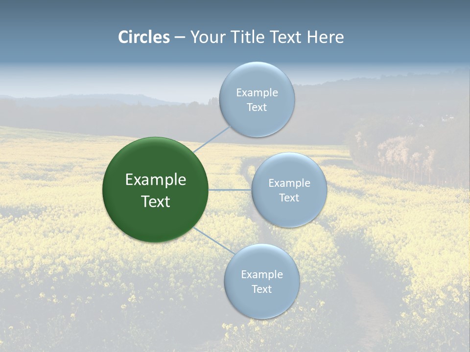 Europe Surrey Canola PowerPoint Template