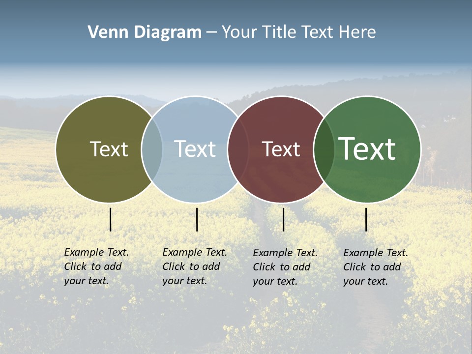 Europe Surrey Canola PowerPoint Template