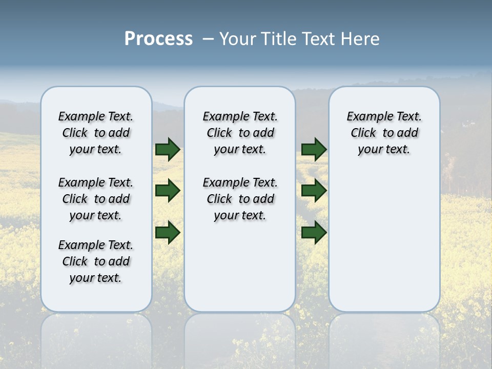 Europe Surrey Canola PowerPoint Template