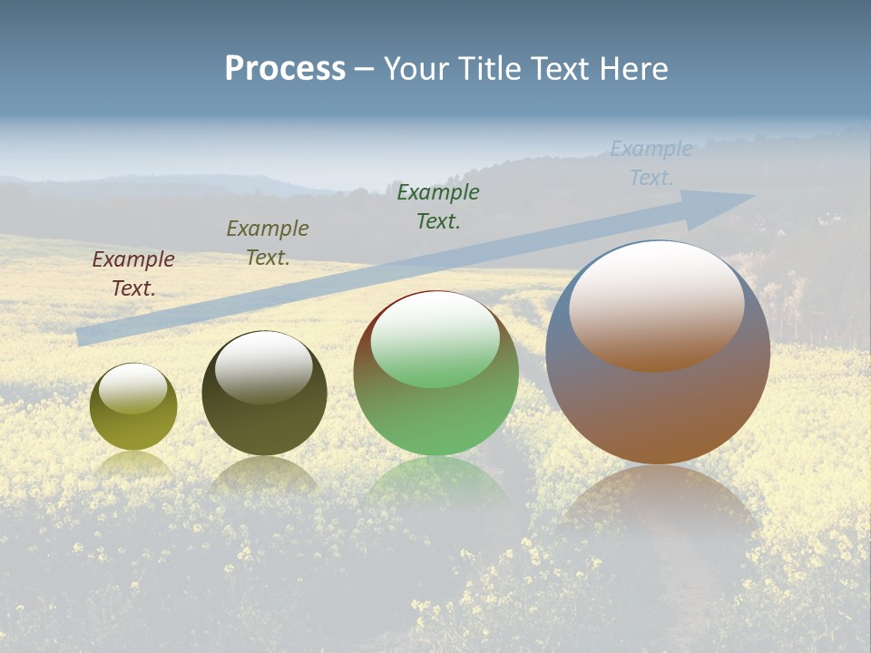 Europe Surrey Canola PowerPoint Template