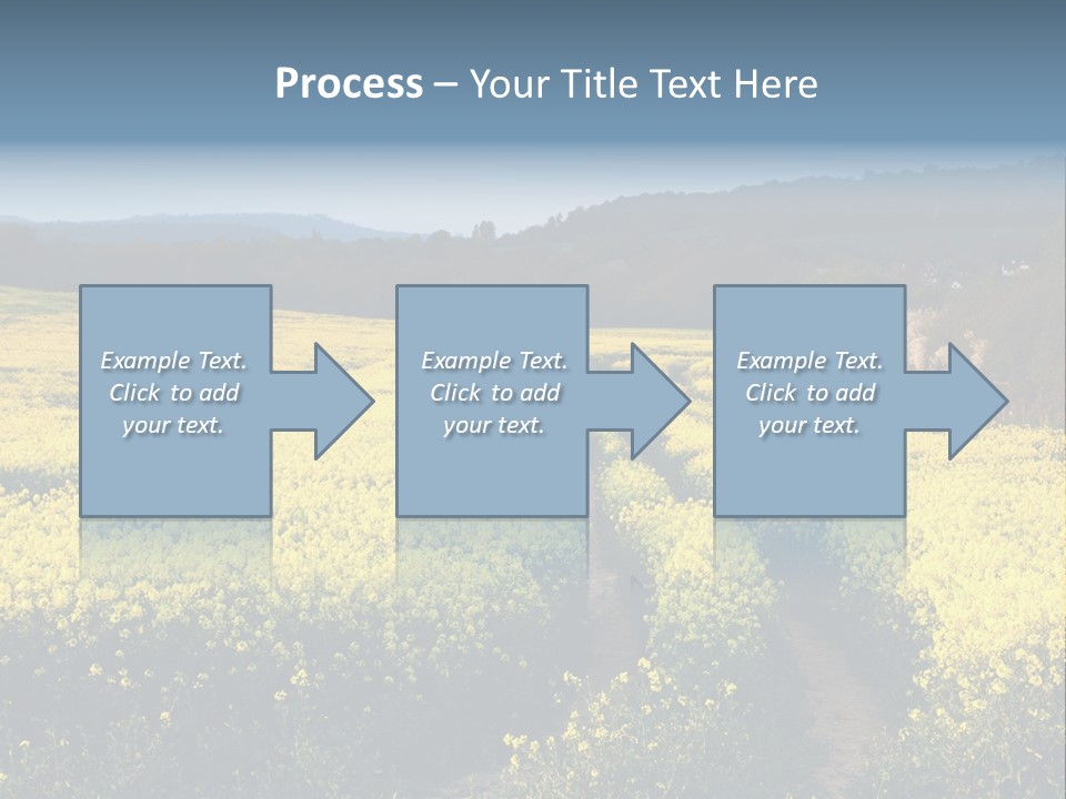Europe Surrey Canola PowerPoint Template