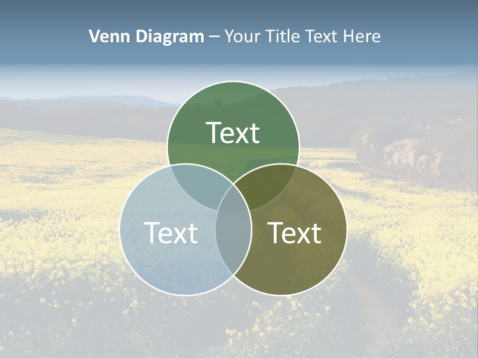 Europe Surrey Canola PowerPoint Template
