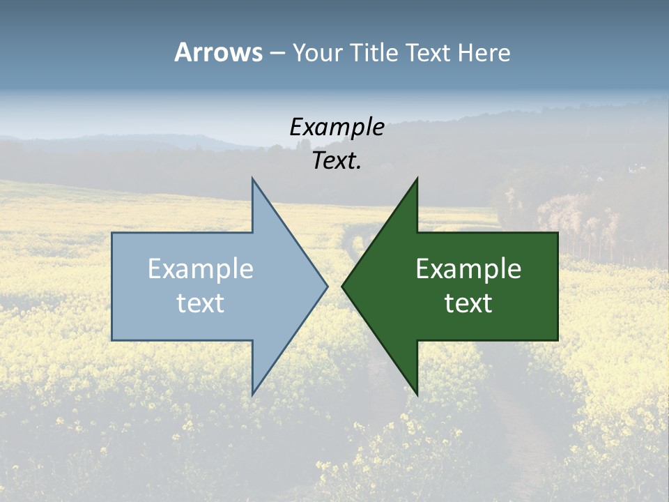 Europe Surrey Canola PowerPoint Template