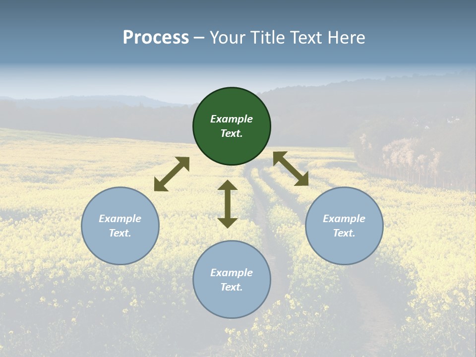 Europe Surrey Canola PowerPoint Template