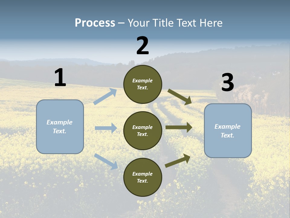 Europe Surrey Canola PowerPoint Template