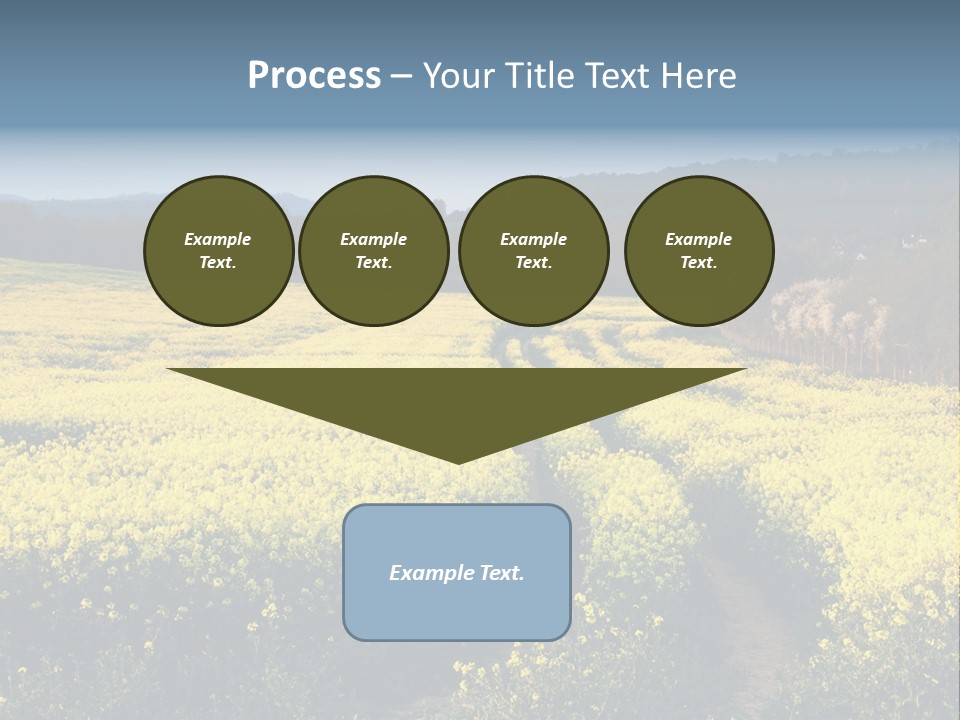 Europe Surrey Canola PowerPoint Template