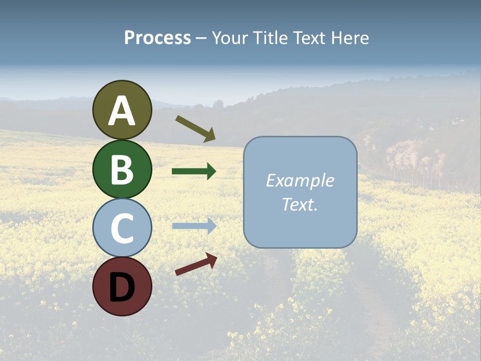 Europe Surrey Canola PowerPoint Template