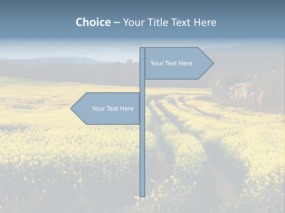 Europe Surrey Canola PowerPoint Template