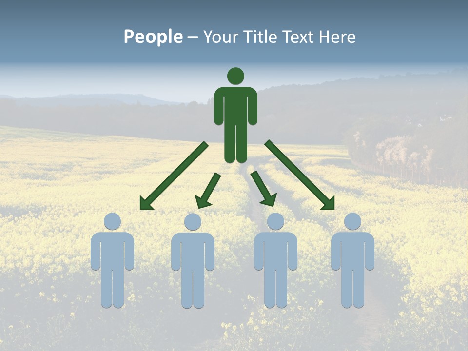 Europe Surrey Canola PowerPoint Template