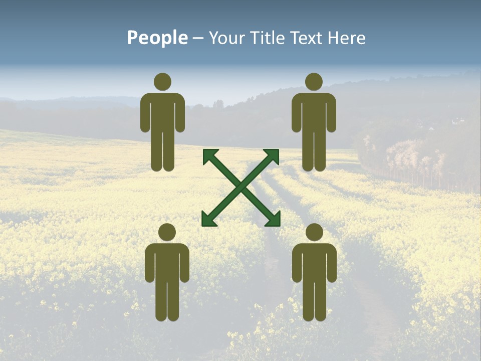 Europe Surrey Canola PowerPoint Template