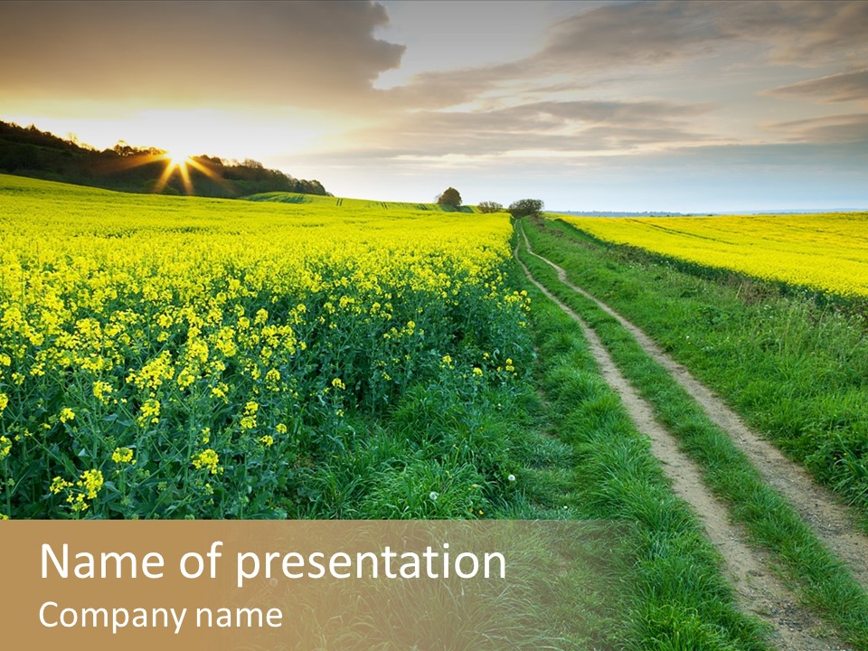 Nature Sunset Seasonal PowerPoint Template