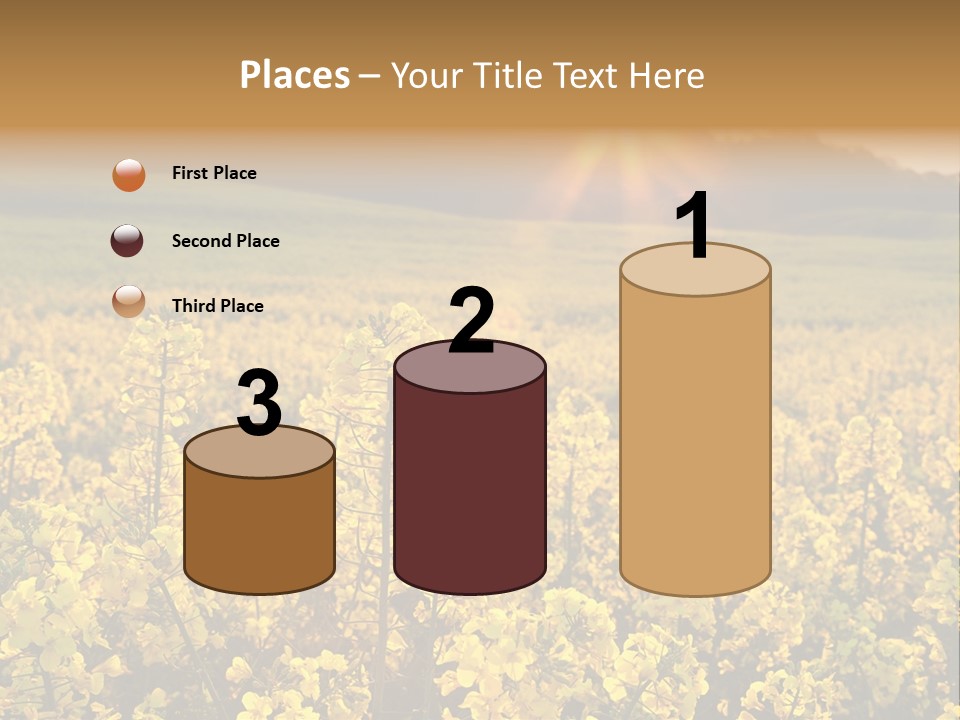 Meadow Nobody Background PowerPoint Template