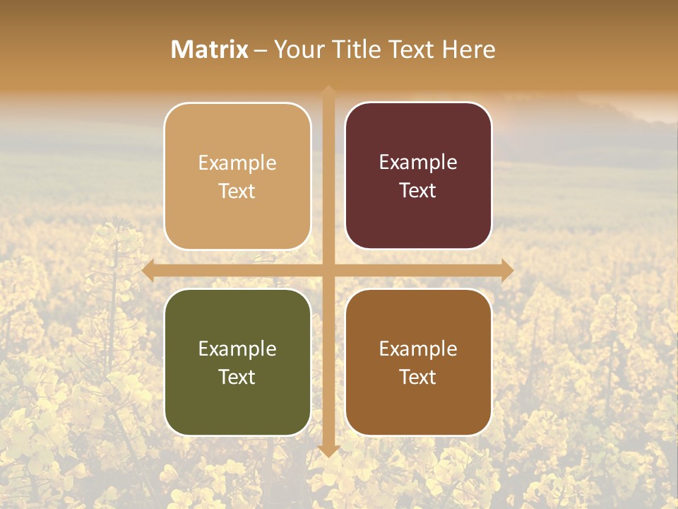 Meadow Nobody Background PowerPoint Template