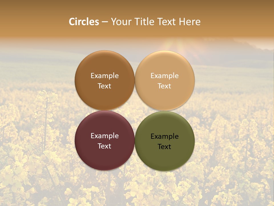 Meadow Nobody Background PowerPoint Template