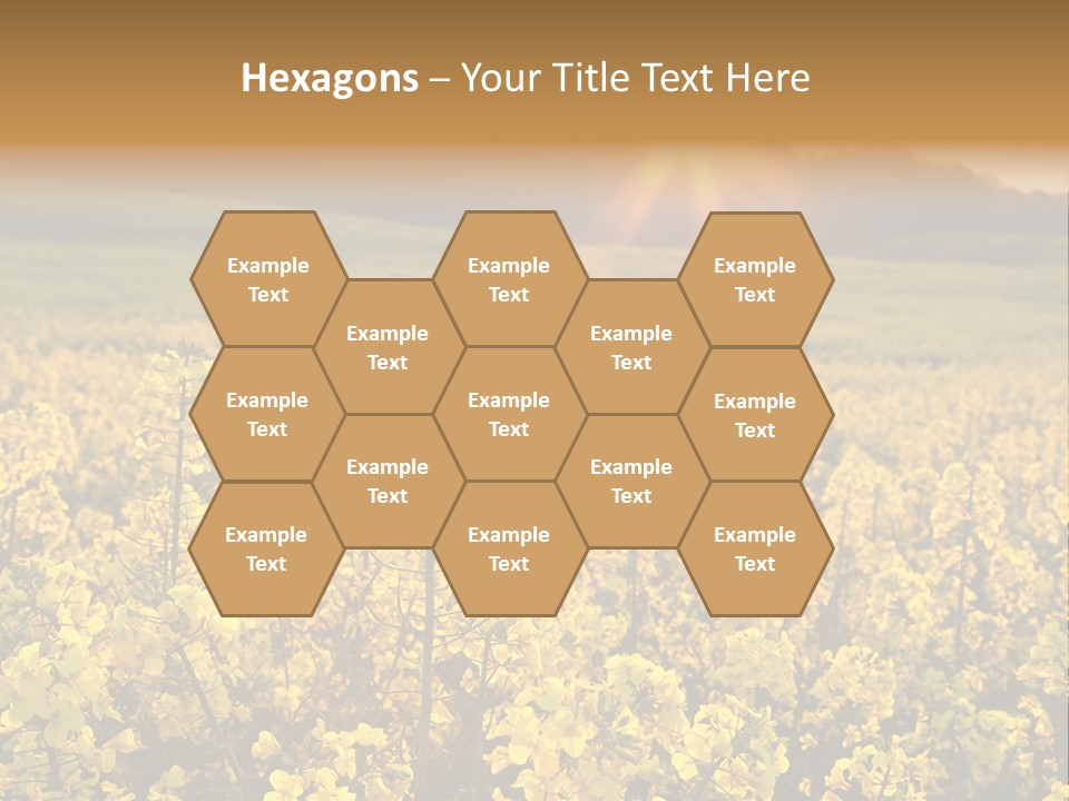 Meadow Nobody Background PowerPoint Template