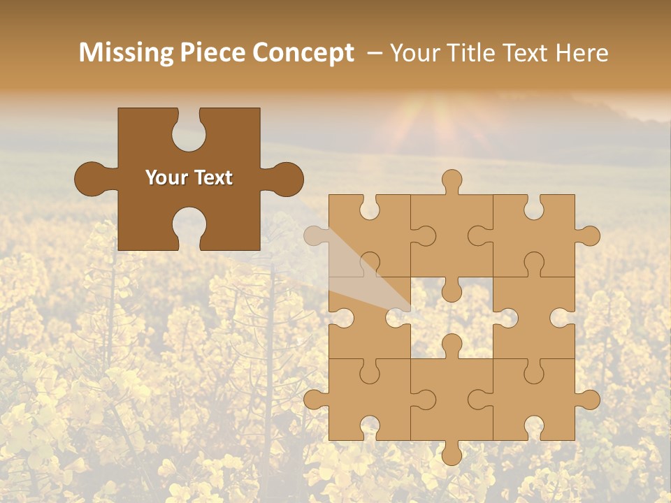 Meadow Nobody Background PowerPoint Template