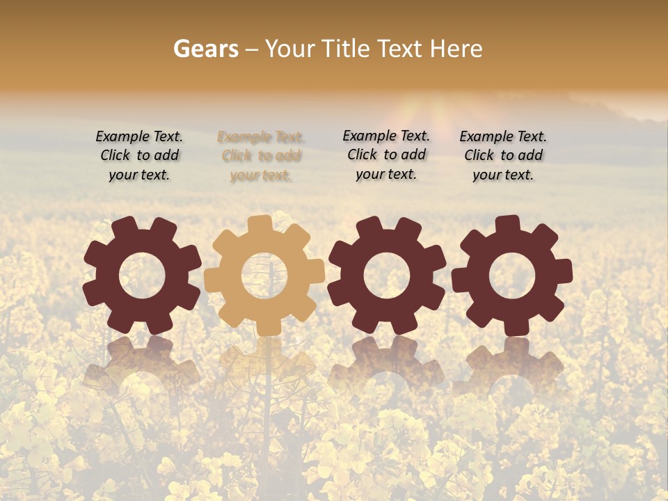 Meadow Nobody Background PowerPoint Template