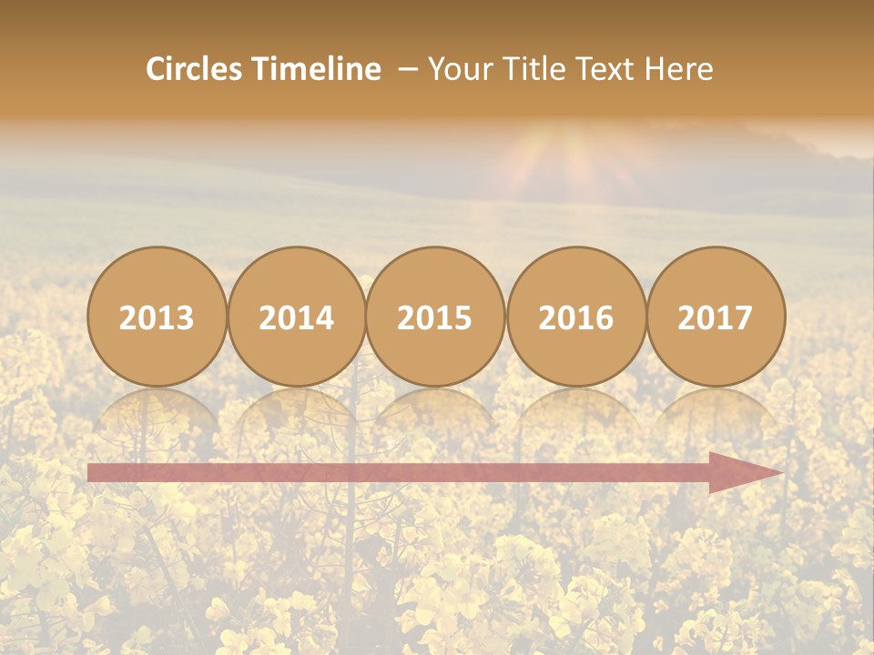 Meadow Nobody Background PowerPoint Template