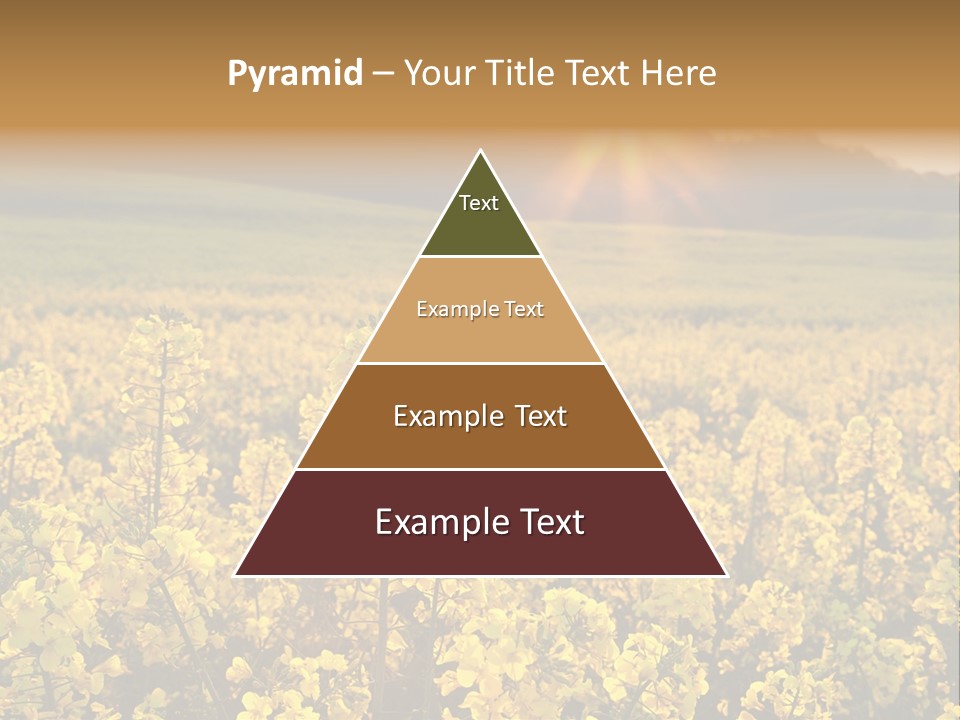 Meadow Nobody Background PowerPoint Template