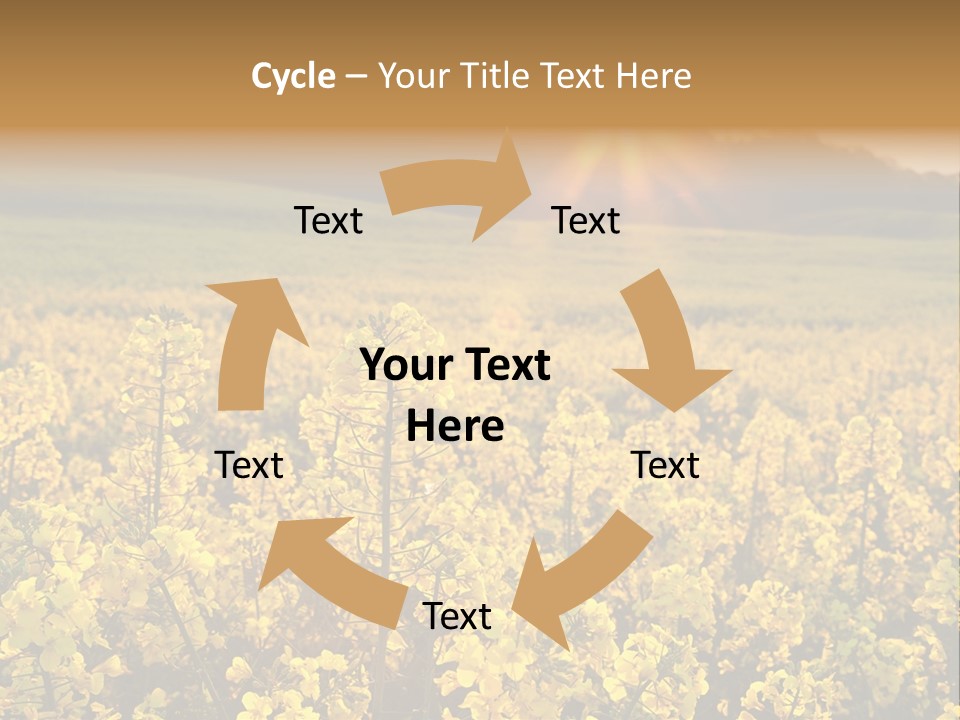 Meadow Nobody Background PowerPoint Template