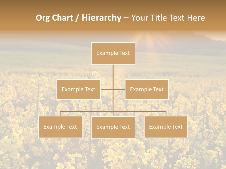 Meadow Nobody Background PowerPoint Template