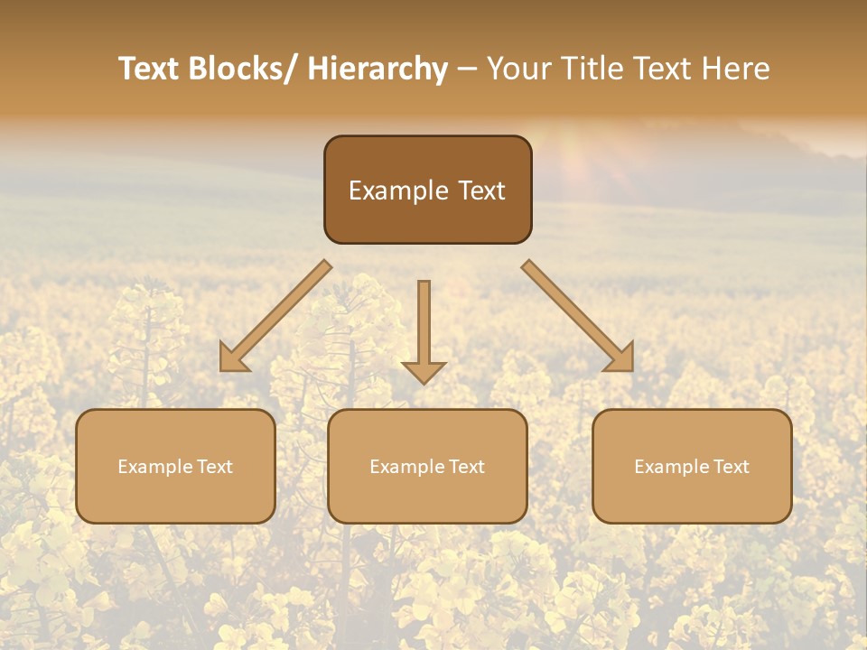 Meadow Nobody Background PowerPoint Template