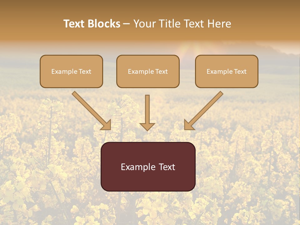 Meadow Nobody Background PowerPoint Template