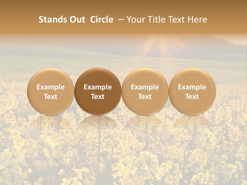 Meadow Nobody Background PowerPoint Template