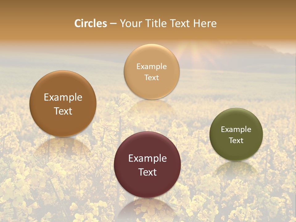 Meadow Nobody Background PowerPoint Template