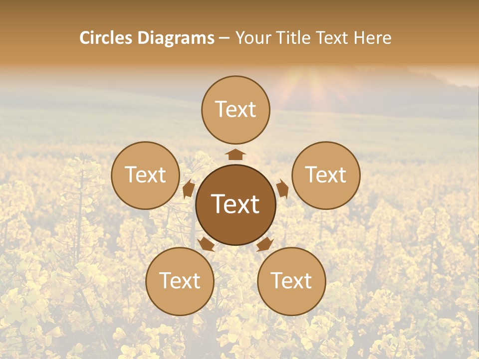 Meadow Nobody Background PowerPoint Template