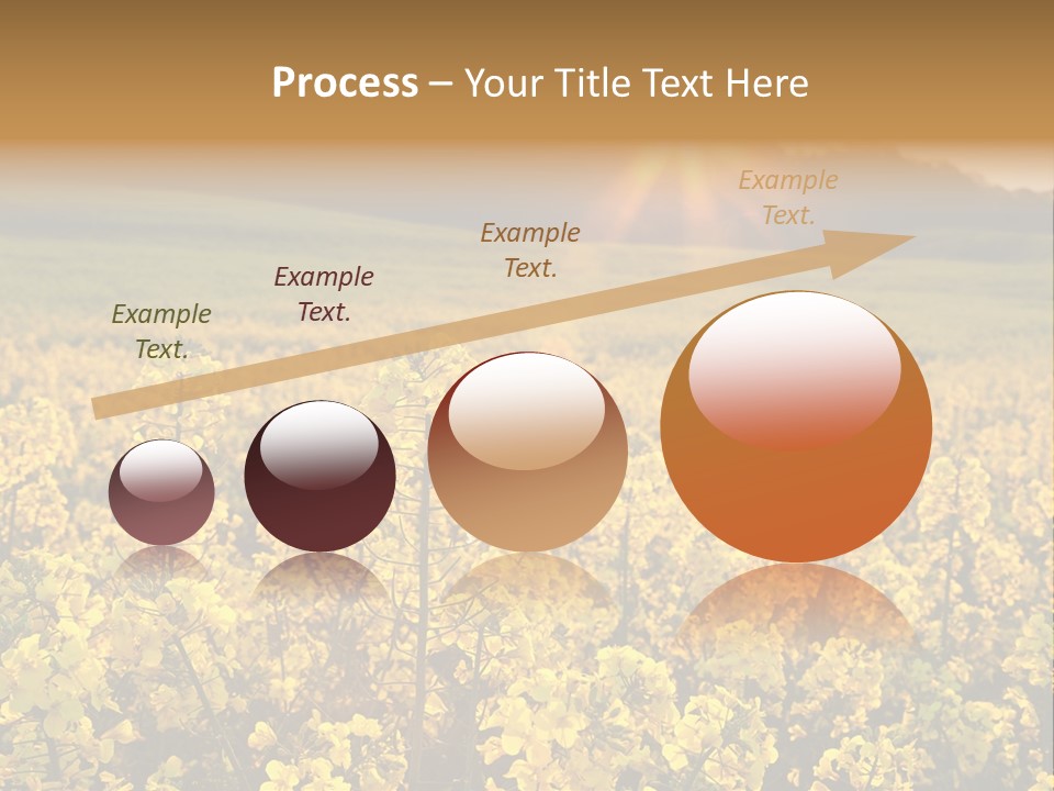 Meadow Nobody Background PowerPoint Template