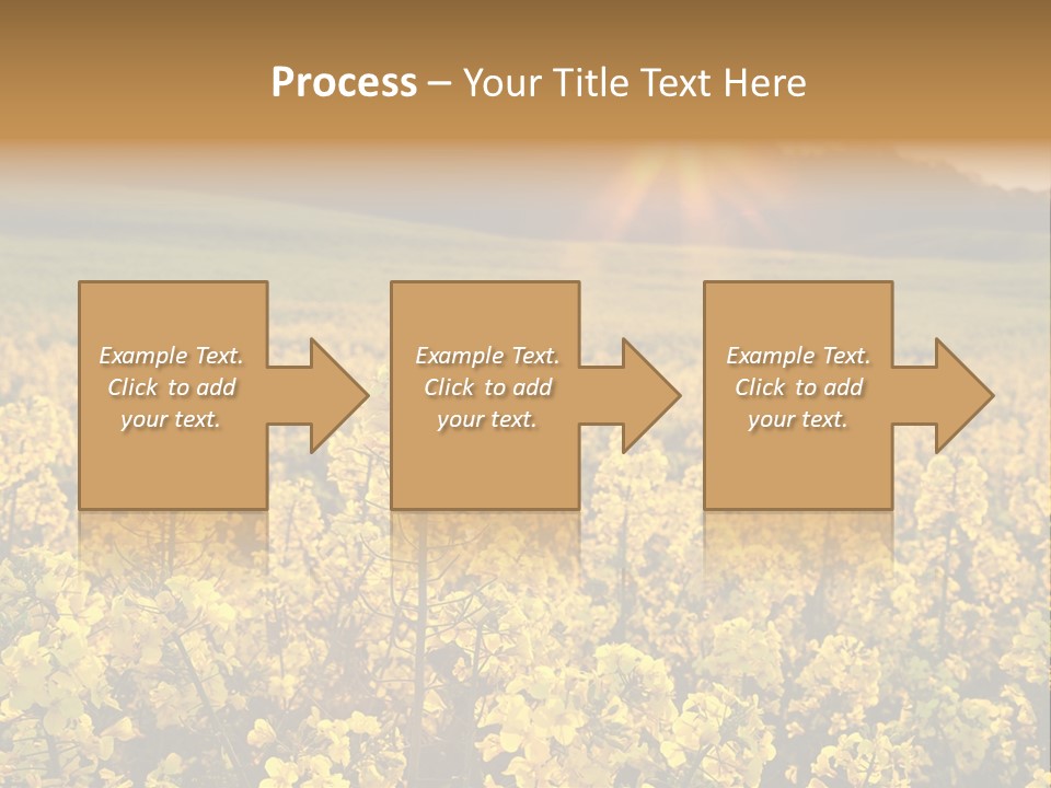 Meadow Nobody Background PowerPoint Template