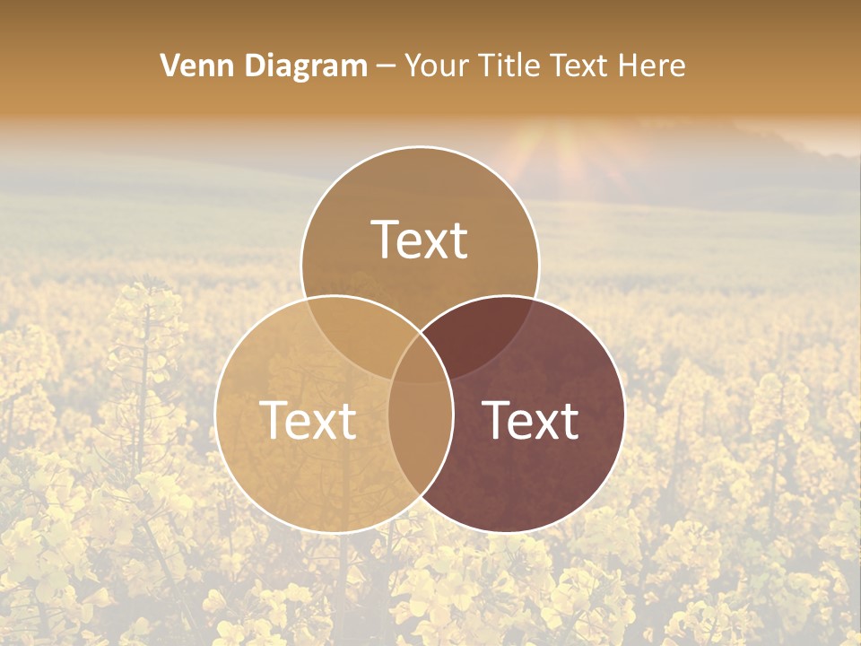 Meadow Nobody Background PowerPoint Template