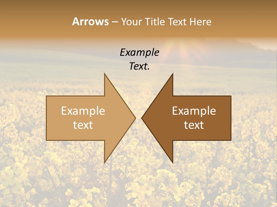 Meadow Nobody Background PowerPoint Template