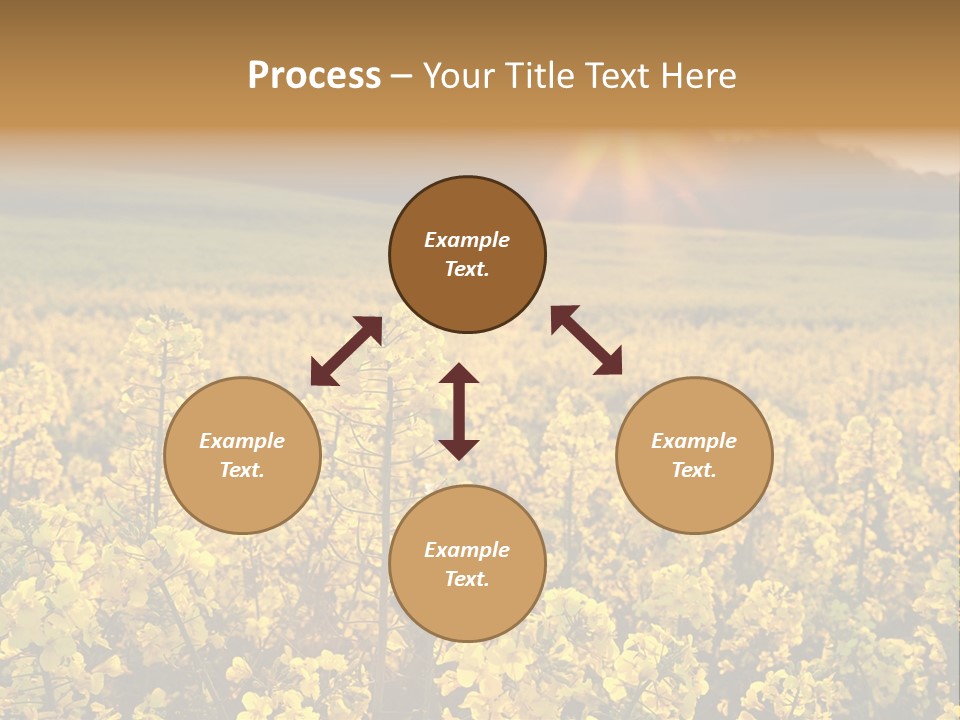 Meadow Nobody Background PowerPoint Template