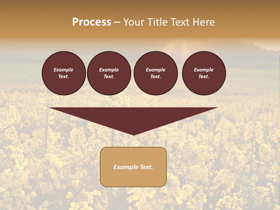 Meadow Nobody Background PowerPoint Template