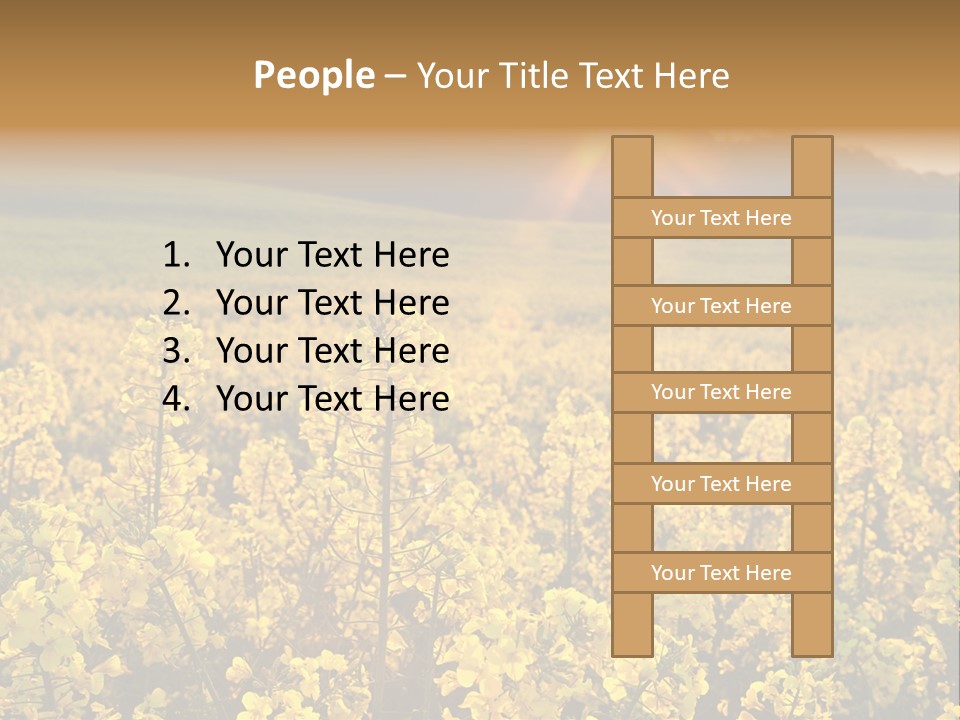 Meadow Nobody Background PowerPoint Template