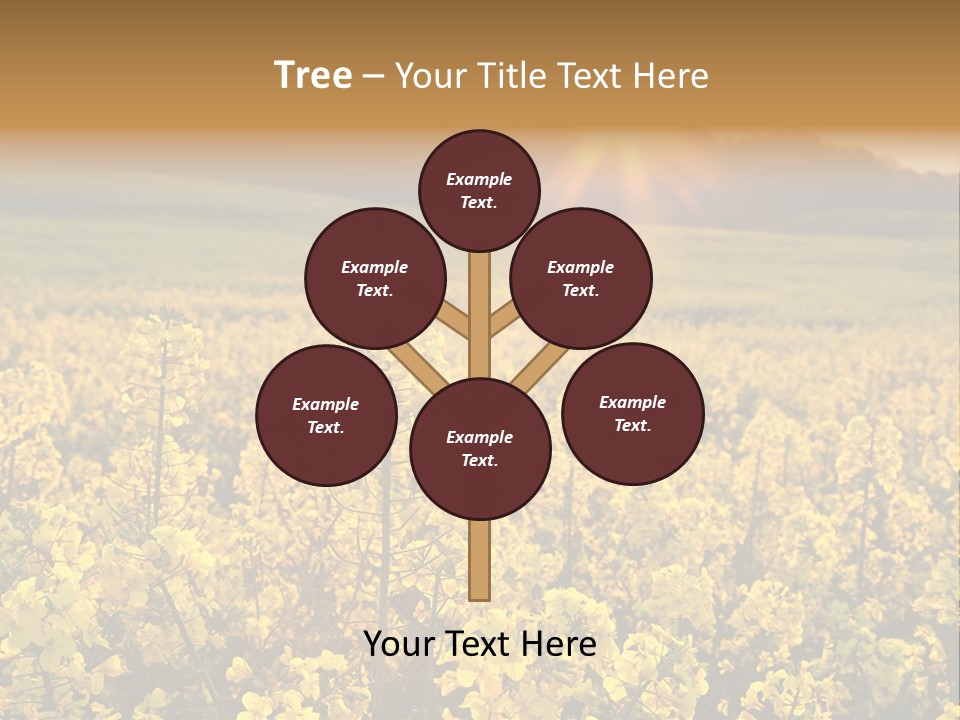 Meadow Nobody Background PowerPoint Template