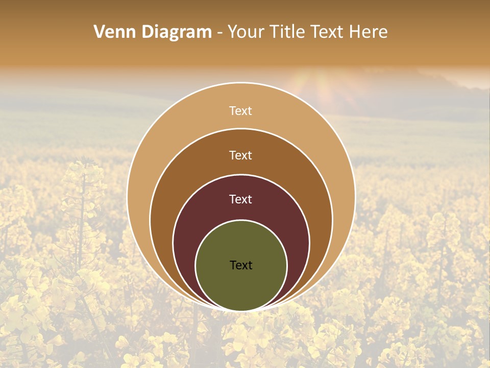 Meadow Nobody Background PowerPoint Template